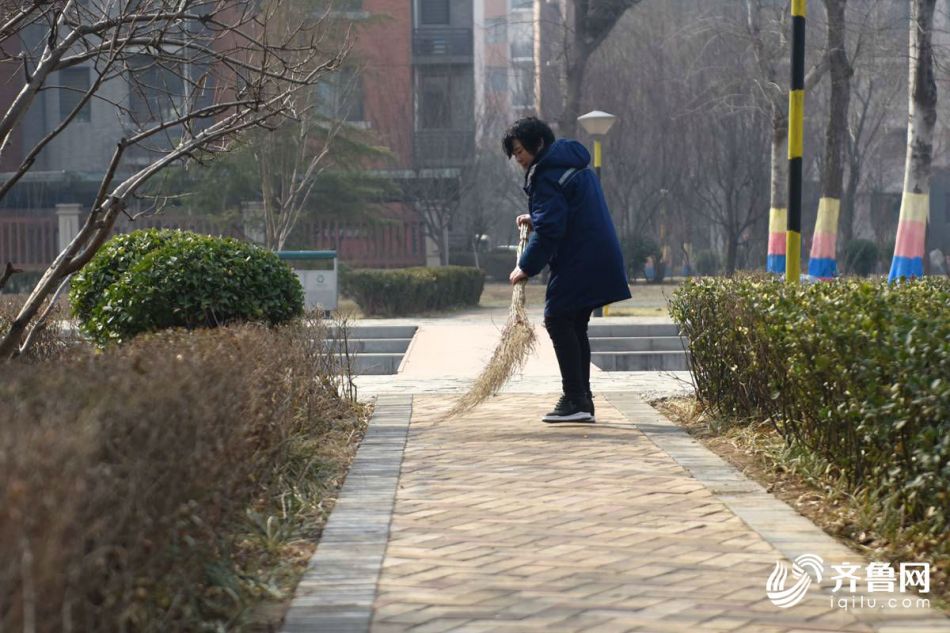 荷花叶有什么功效和作用
