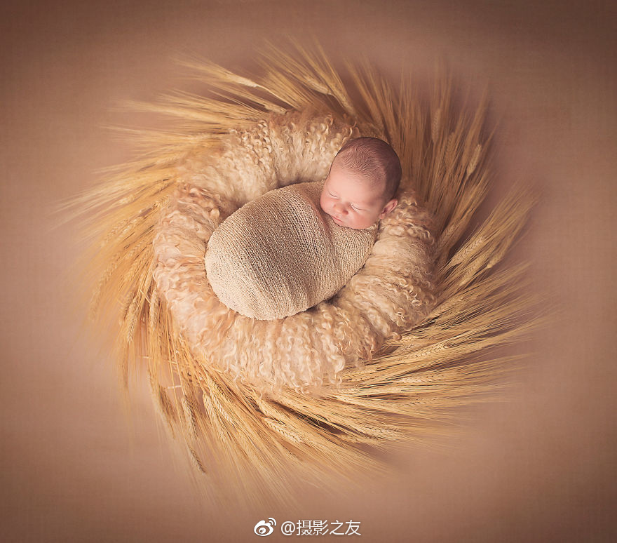 螃蟹离开水最多能活几天