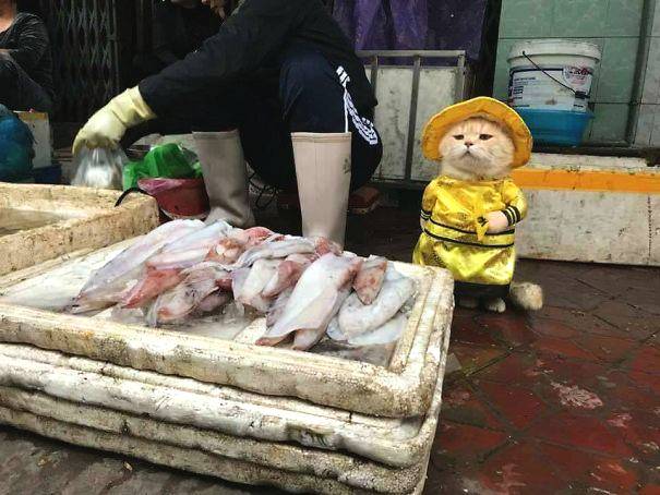 烫面炸糕最正宗配方