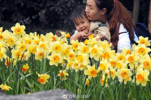 妈妈的味道图片什么梗