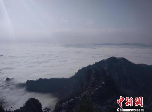 椰子汁开盖之后能放多久