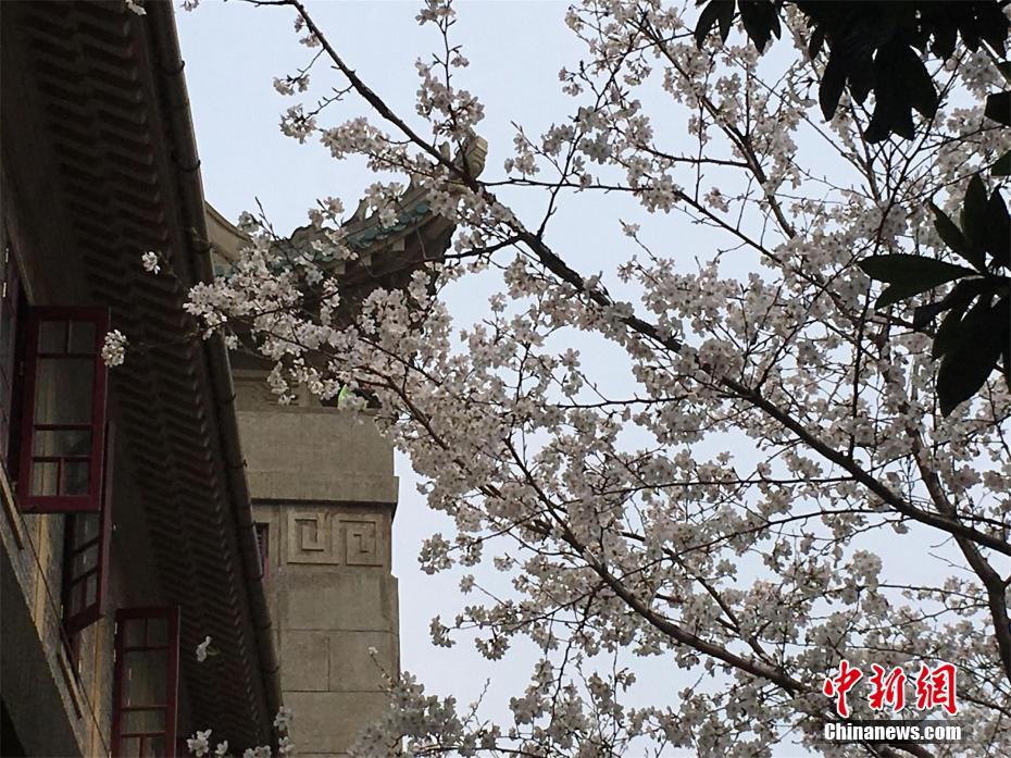 lol上票是什么梗